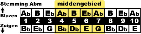 middengebied